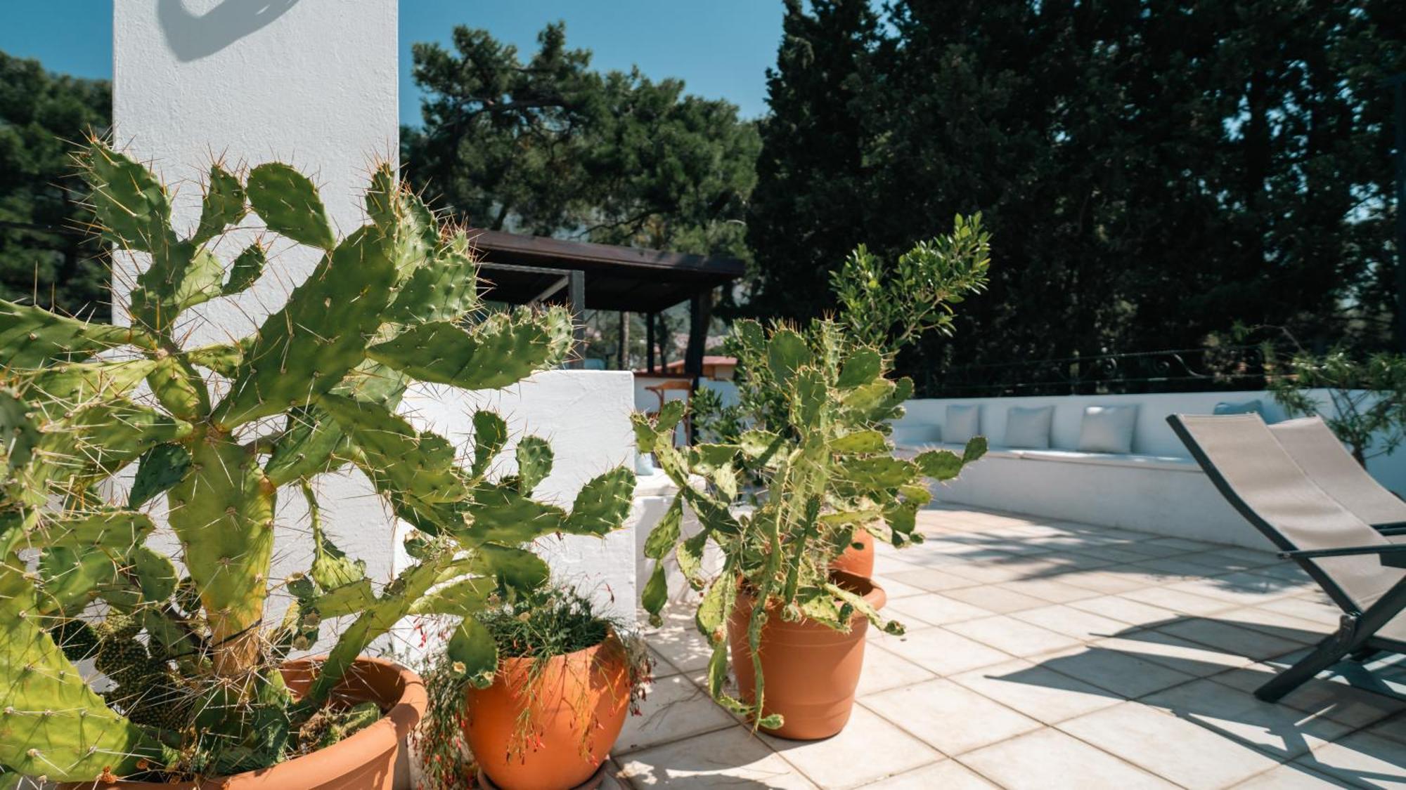 Totelya Hotel Akyaka  Exterior foto